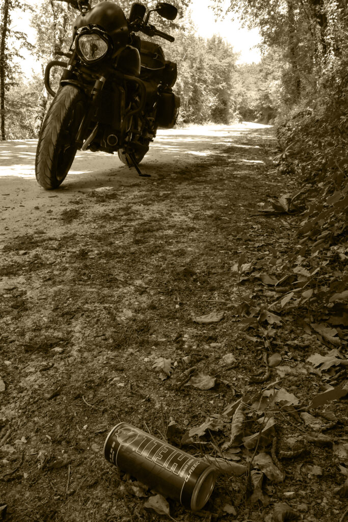DSC 0316mo